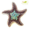 Strass Starfish Pin